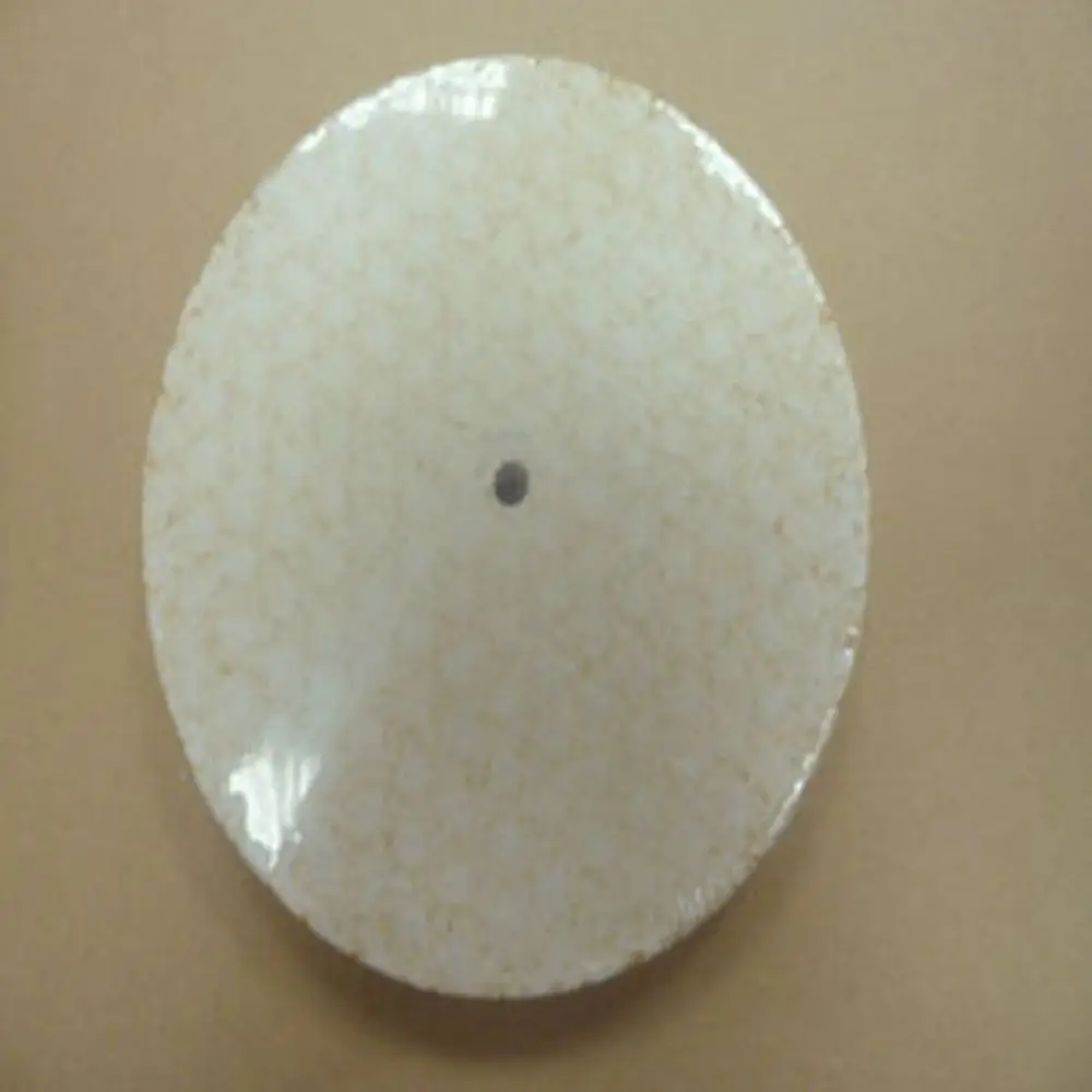Runde, flache Isolierung von Remeha für einen Feuerungsraum, mit einer glatten Oberfläche und einem zentralen Loch. Farbtönung in Beige mit feinem Muster.